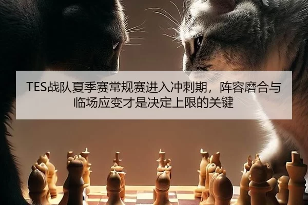 zhan-dui-xia-ji-sai-chang-gui-sai-jin-ru-chong-ci-qi-zhen-rong-mo-he-yu-lin-chang-ying-bian-cai-shi-jue-ding-shang-xian-2-883.jpg
